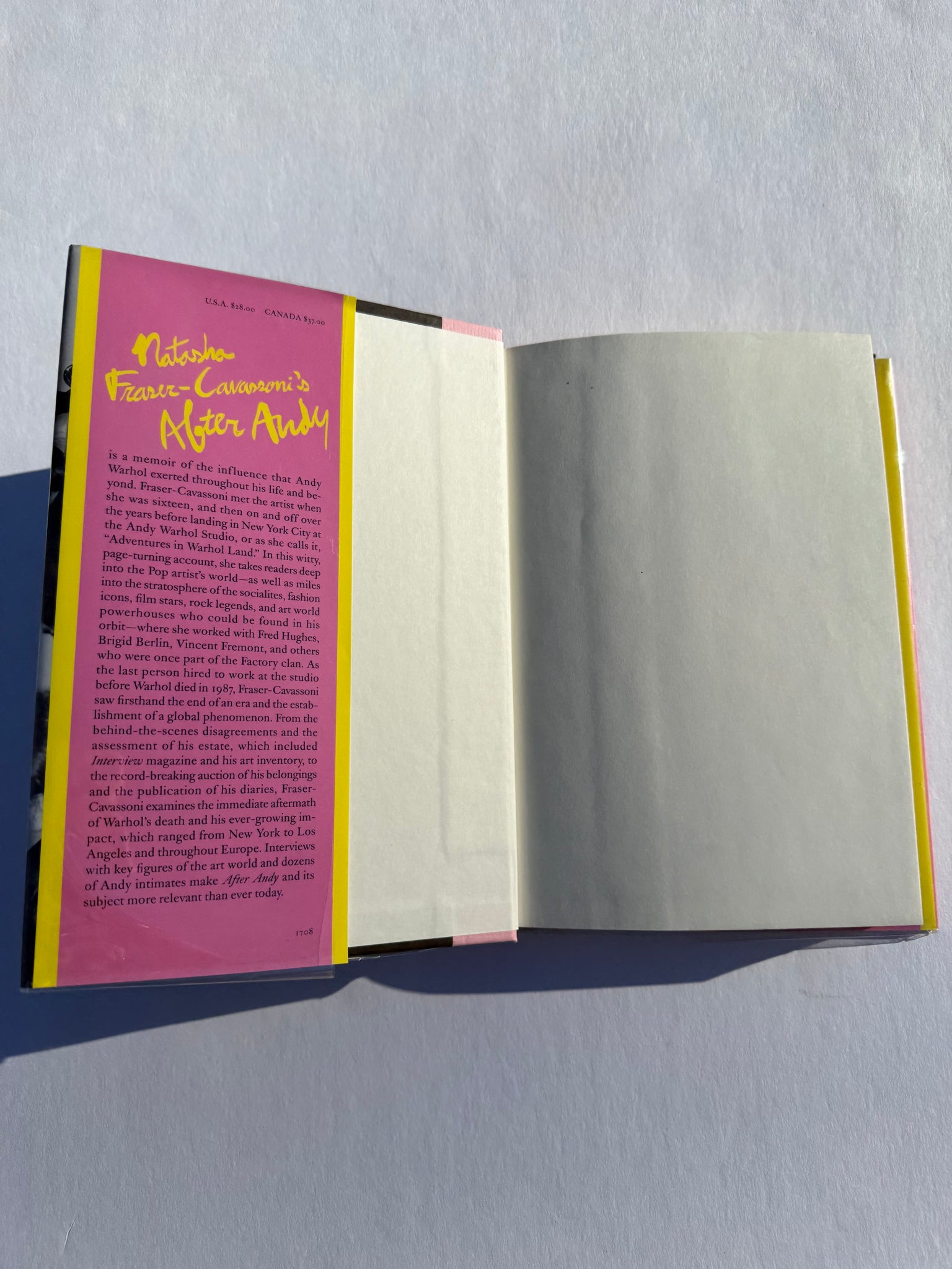 After Andy - Adventures in Warhol Land