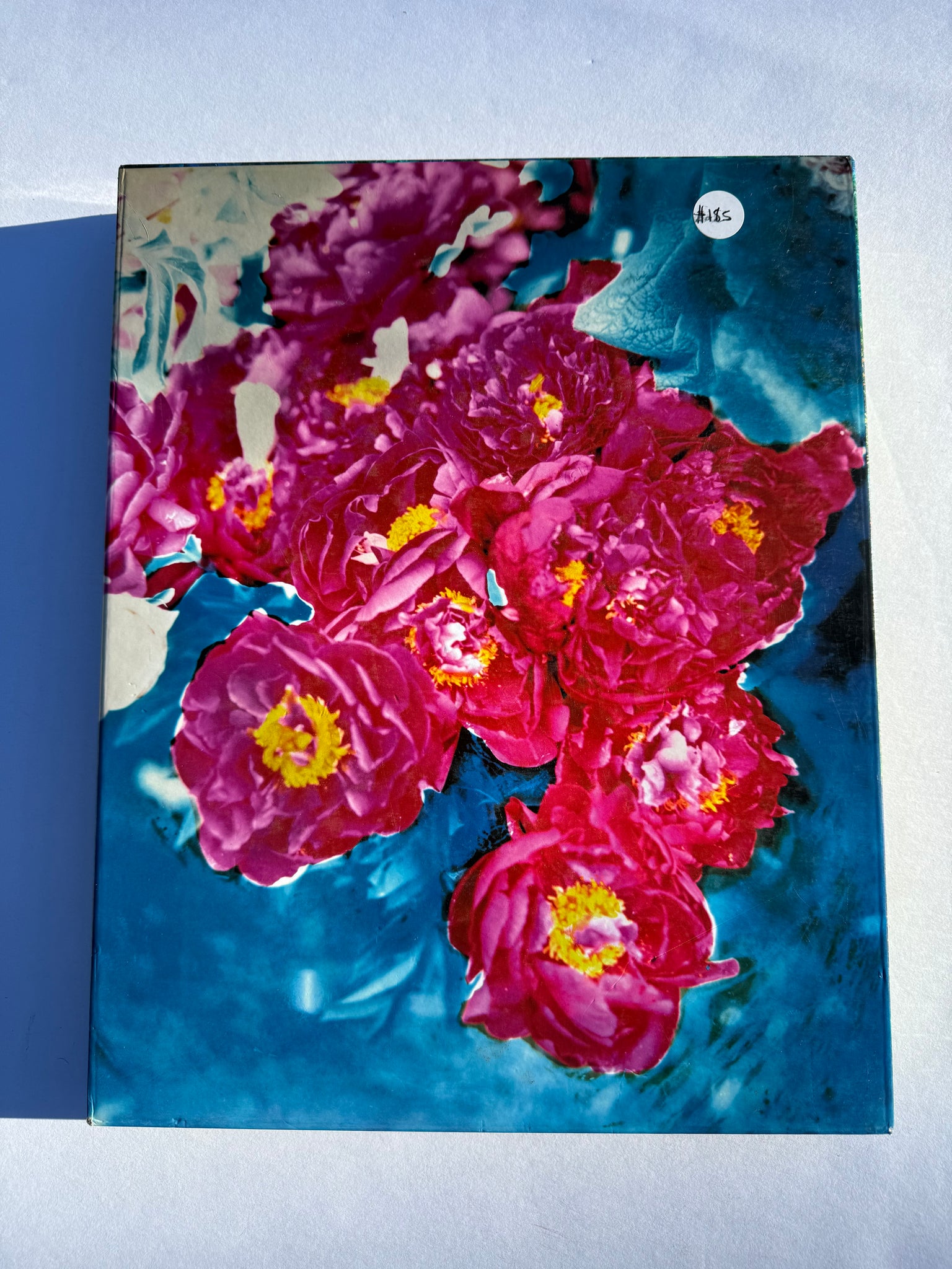 David Lachapelle - Good News