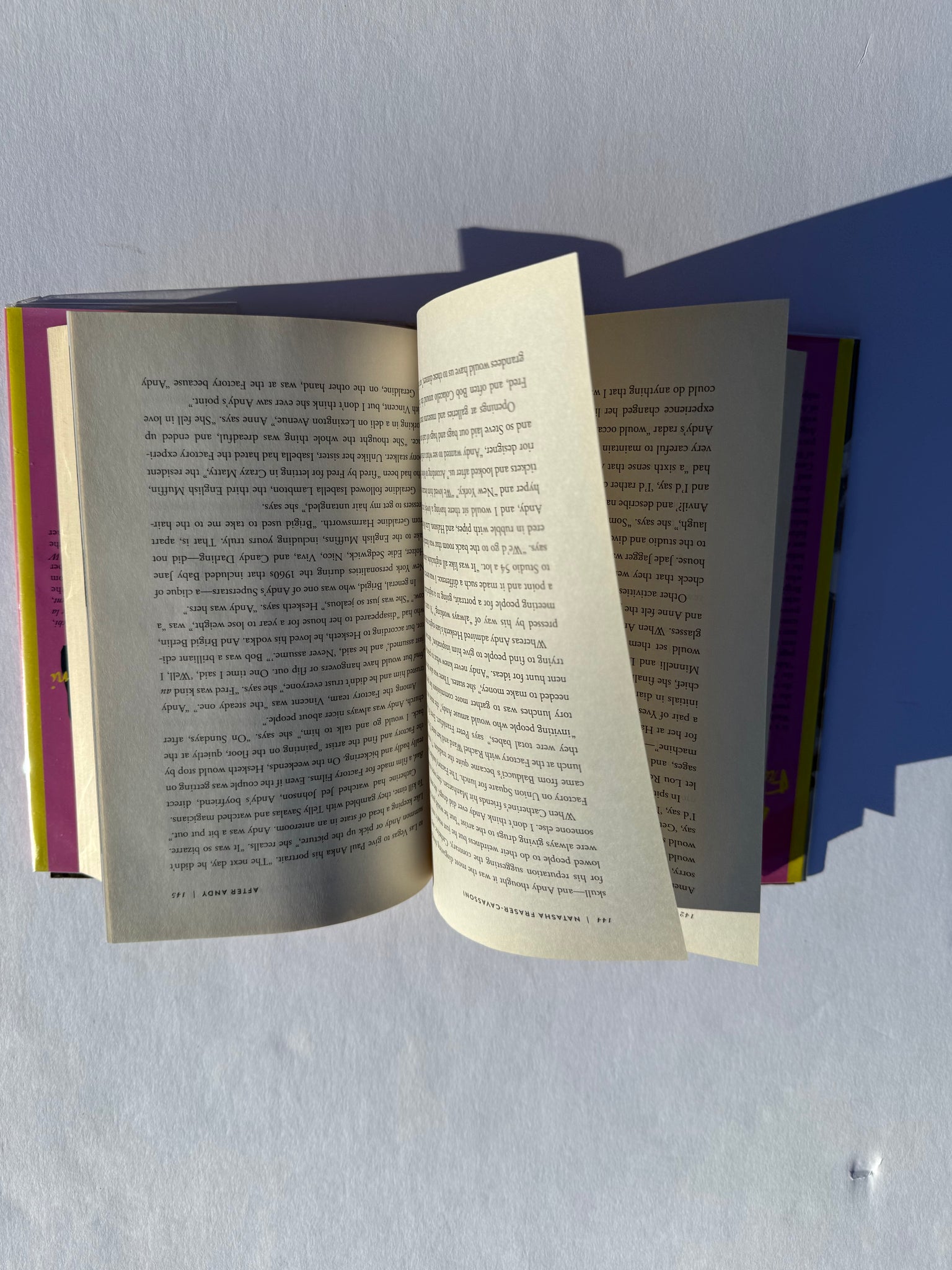 After Andy - Adventures in Warhol Land