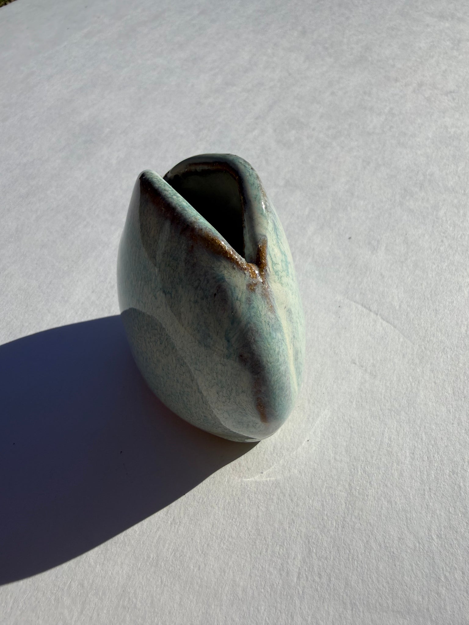 Clamshell Bud Vase