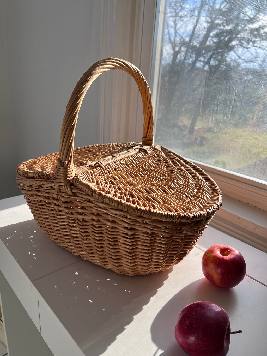 Wicker Birkin Basket with Double Lid