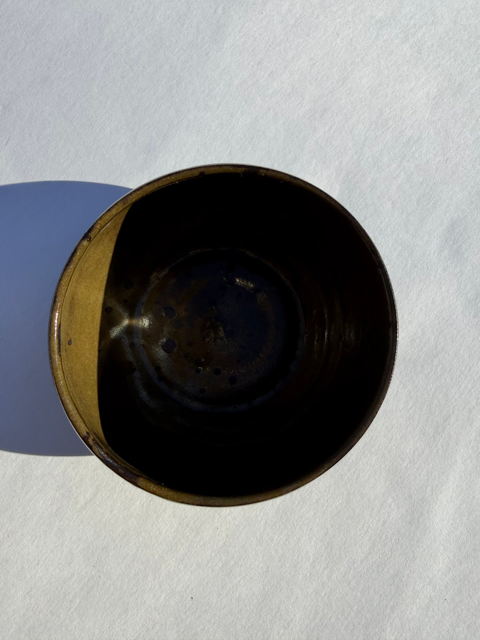 Coin  Collector - Sam Hewitt