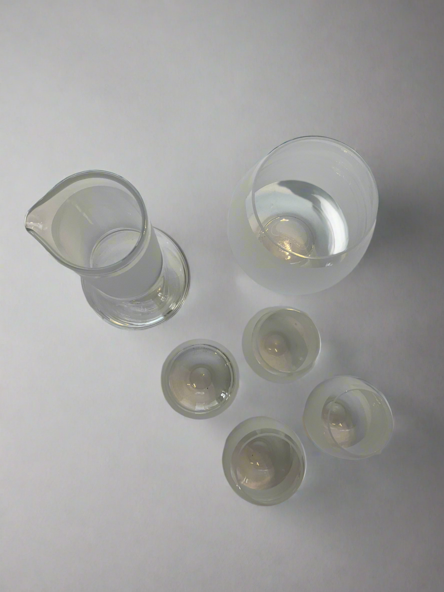 Minimalist Frosted Glassware Set by Calvin Klein