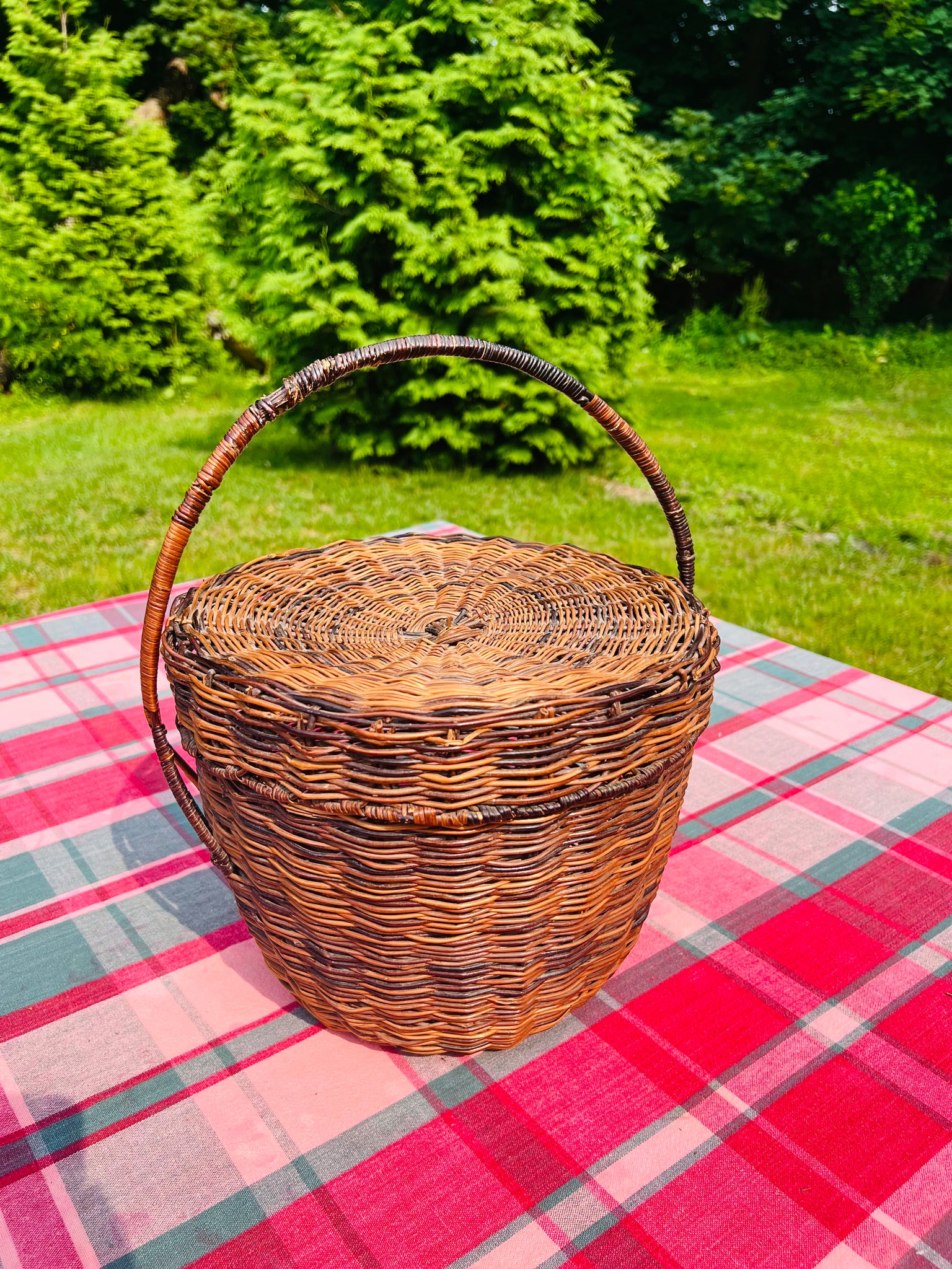 Wicker Shopping Handle Basket Purse With Lid Jane Birkin 