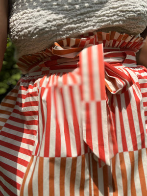 Block Striped Skirt